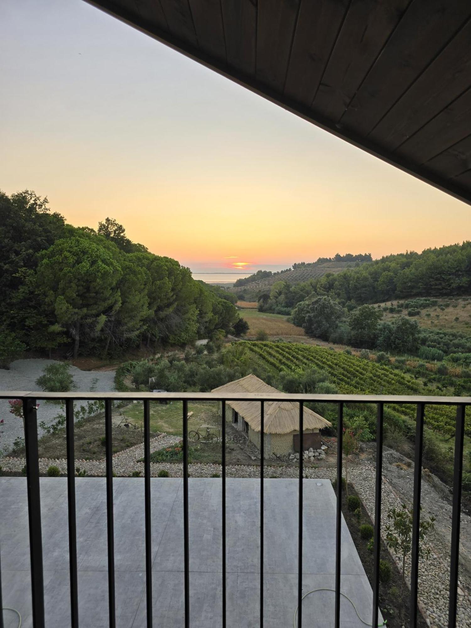 Toska Farm Hotel Meci