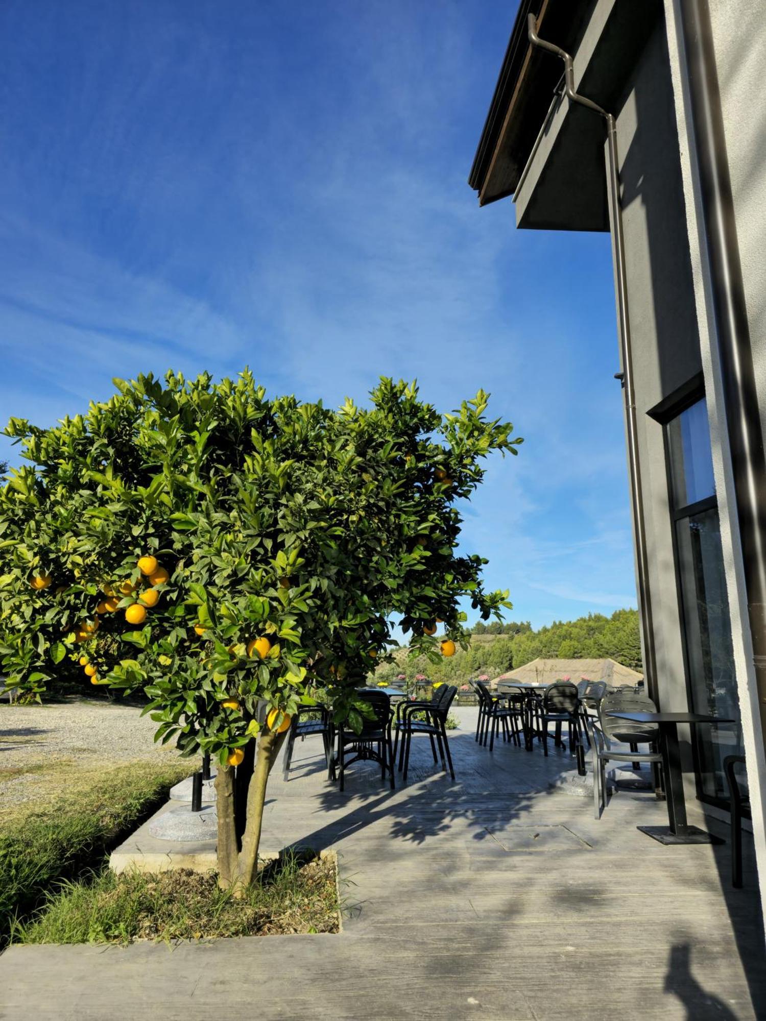 Toska Farm Hotel *