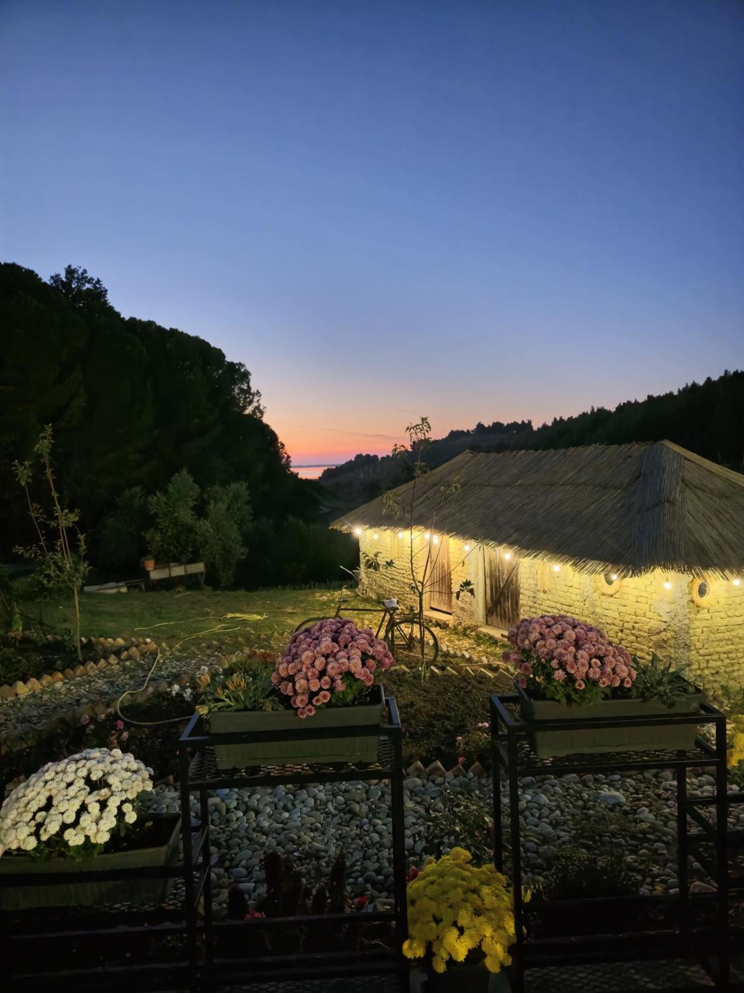 Toska Farm * Meci